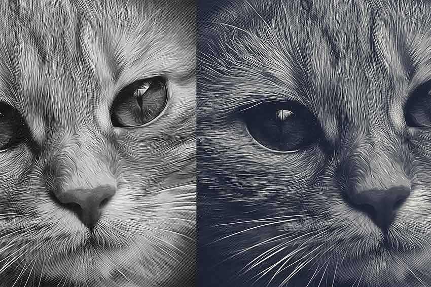 Engraved Photo Sketch Effect